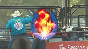 13K views · 406 reactions | Andrew Ward and Buddy Hawkins get the WCRA Rodeo Days of 47 Rodeo Semi-Finals Round 2 win with a 4.79 worth $1,600 per man and a spot in the Gold Medal Round❗️ | The Team Roping Journal Magazine | Facebook