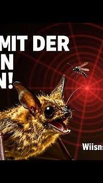 🦇 Fledermaus SIEHT mit den OHREN! 😱 #TierGeheimnisse