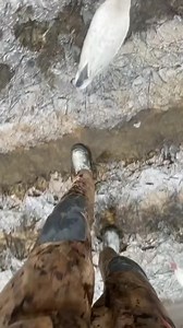 68K views · 348 reactions | Did you know these ? #facts #randomfacts #curiosity #learning #factsyoudidntknow #fyp Did U Know | Did u know | Facebook