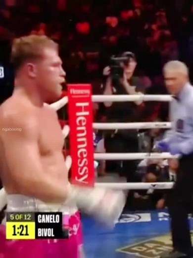 Bivol: The Sensation of the Year in Boxing