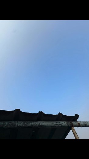 💥💥 | Animal Lovers