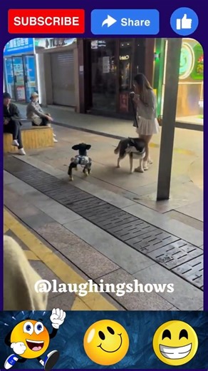 Who did it better Actual Dog vs Robot Dog! 😂🦴