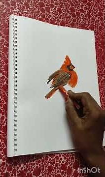 How to draw | Cardinal bird | with |Jasmine | name easily with the pastel colours # shorts #drawing