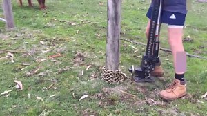 3.3M views · 21K reactions | How To Remove A Fence Post in Under 4 Minutes... Without Digging!! | Ellen Roman | Facebook