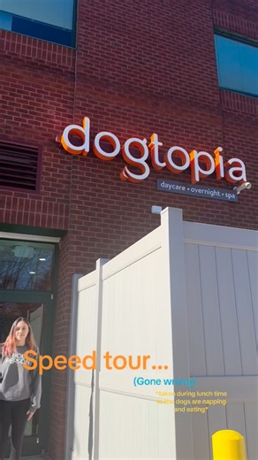 Dogtopia speed tour! 🐾😂 featuring Sky! #dogtopia #dogsofdogtopia #maryland #dogdaycare #dogspa #dogboarding #doggrooming #towson #owingsmills #towsondogs #owingsmillsdogs #doggydaycare #followfordogs | Dogtopia of Owings Mills