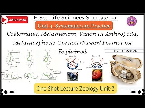 Unit 3- Zoology | Metamerism, Vision in Arthropoda, Metamorphosis, Torsion & Pearl Formation