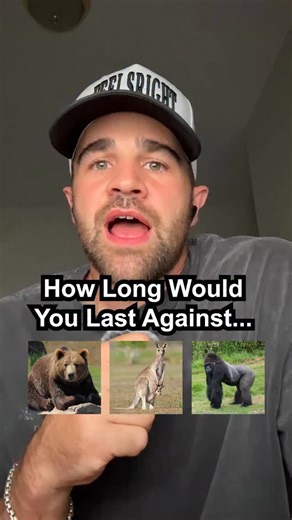 @cakes.and.meatball | Can You Take These In a Fight? 🦍 | Instagram