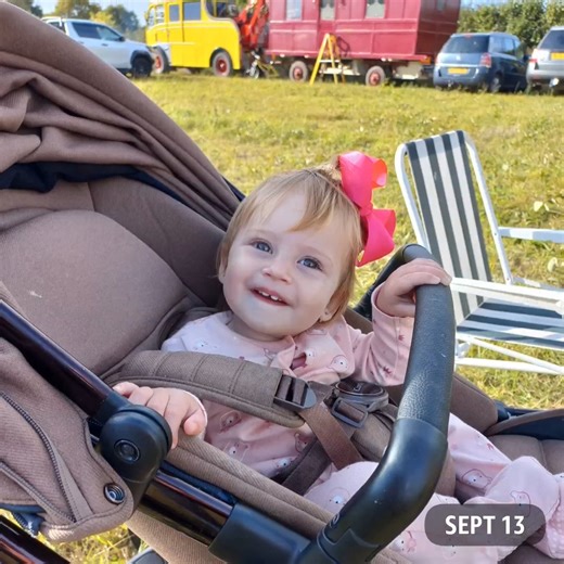 Sopme of my 2025 memories, created by Amazon photos #horsefairs | Romany Heritage