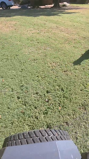 21 reactions · 4 comments | In need of Tree Removal or Pruning but...