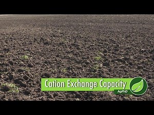 Cation Exchange Capacity #1032 (Air Date 1-14-18)