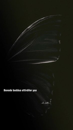 Bana da Beddua Ettirdiler CapCut Şablonu