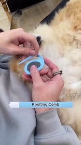 4PCS Grooming Comb Set - Knotting/De-matting Comb for Cats and Dogs, Removing Tangled Hair, with Dog Bath Brush (1PCS Green)