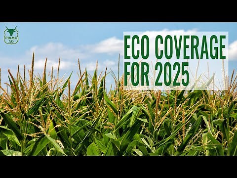ECO Crop Insurance Coverage for 2025