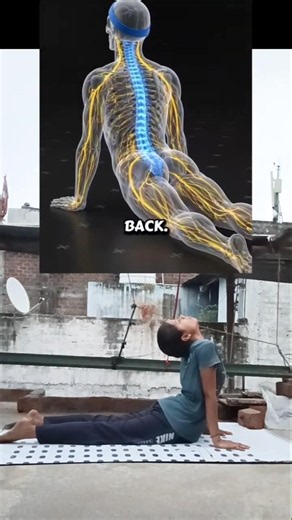 Release Spine & Neck Tension Naturally 🧘‍♀️#Yoga #YogaPractice #SpineMobility