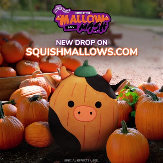 160K views · 5.3K reactions | Go big or GOURD home.  Pumpkin Connor is now available exclusively on Squishmallows.com. | Squishmallows | Facebook