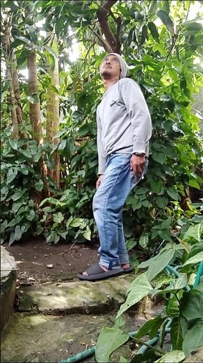 POHON SANGAT BERGUNA UNTUK KEHIDUPAN KITA