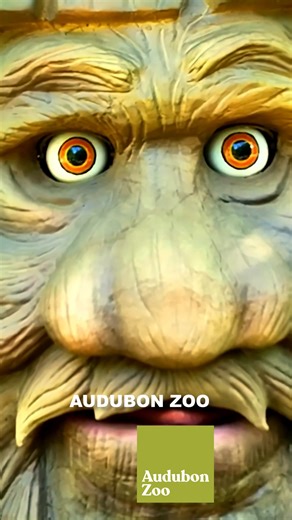 1.2K views | The Kraken, Loch Ness Monster, and dragons over 20 feet tall are here at Audubon Zoo from Sept. 19 – Jan. 11. It’s an easy trip with unforgettable memories waiting for you. ️ Get your tickets today. | Audubon Zoo | Facebook