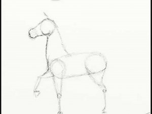Cómo dibujar un caballo
