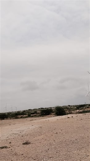Exploring Wind Farm Technology in Desert Landscapes