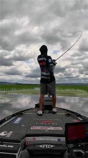 Frogging is my Favorite! 🐸