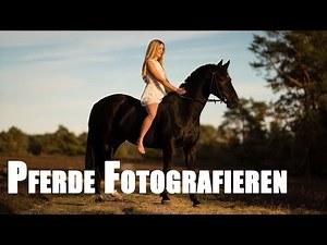 Pferde fotografieren mit Janina Kindt