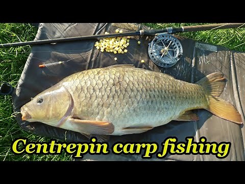 Centrepin Carp Fishing