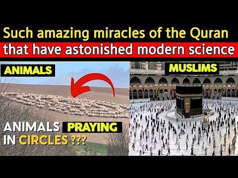 Shocking Miracles Of Quran That Have Proven By Science | Miracel Of Islam