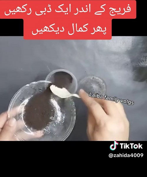 Explore the Multicolor Snake in the UK