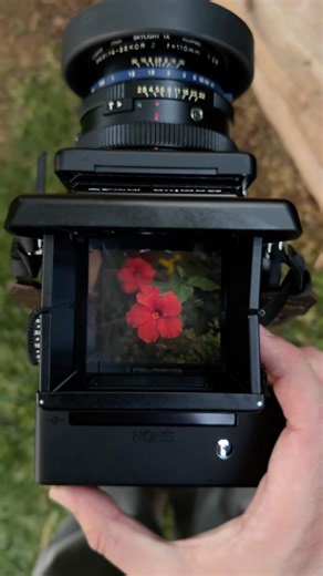 Mamiya RZ67 Pro II + NONS Instant Instax Back