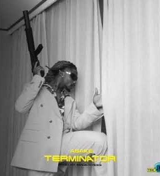 ASAKE - TERMINATOR ( OFFICIAL AUDIO)