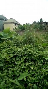 7.3K views · 80 reactions | #IPOB members on burial visit to their bereaved member were dehumanisingly attacked and molested by the Nigerian military in Ebonyi State. We are putting the world on notice with the attached video evidence. We Must Continue, #FreeBiafra #IPOB #SelfDetermination | Biafland.com | Facebook