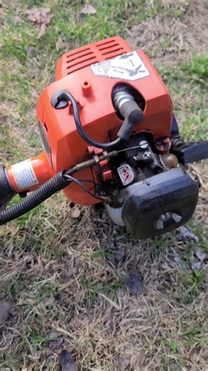 another dump find echo poll saw