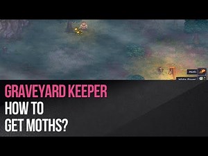Graveyard Keeper - How to get moths?