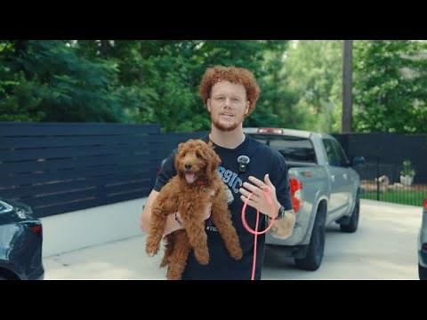 How To Train Your Goldendoodle Puppy