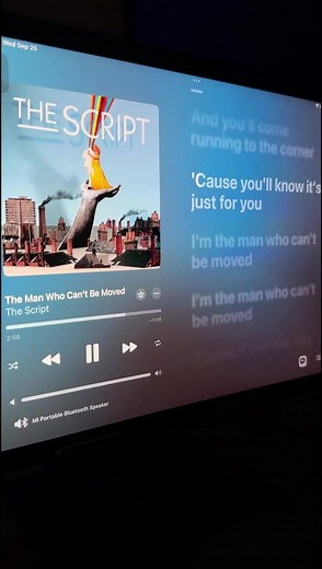 The Man Who Can't be Moved • The Script #lyrics #applemusic #lyricsonipad #music