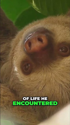 Revolutionary Theory of Evolution Darwin's Groundbreaking Work #evolution #darwin #originofspecies