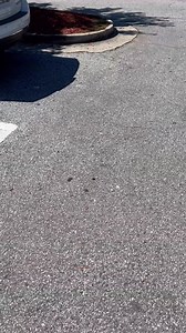 Save BIG this Memorial Day at Lowe’s. Shop hot deals for summer projects before they're gone. | Lowe's Home Improvement | Facebook