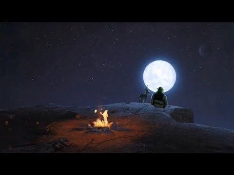 Shrek e Donkey Cozy Ambience 🌝💚🩶 #shrek #dreamworks