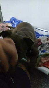 247K views · 3.8K reactions | ❤️ Everyone say goodnight to Rooster!...