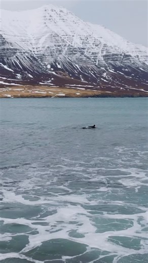 Albee Layer on Instagram: "One of my New Year’s resolutions is to find a good balance of efficiency and quality with the footage I put out. This is more on the quality than the efficiency side of things. Our trip to Iceland from last spring. “ Freezer Burn” is up on my YouTube page @nicvonrupp and the crew did a great job with the vlogs but I was stoked to make a piece more on the artsy side with all music by Icelandic band @officialkaleo Surfing by @nicvonrupp and @annie__starr and myself Shot 