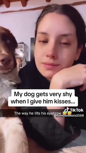 Funny and Cute Dog Kisses Compilation