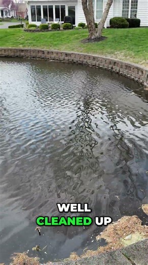Spring Cleanup in Full Action | Getting This Pond Ready for the Season