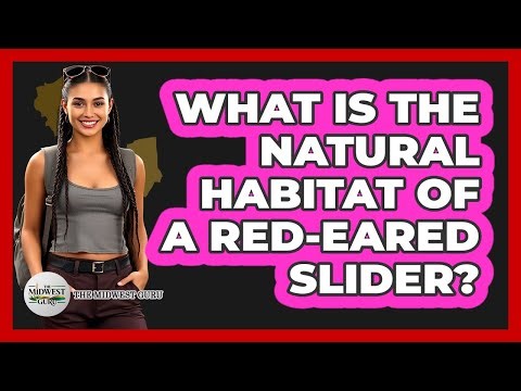 What Is The Natural Habitat of a Red-eared Slider?