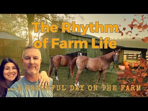 A Peaceful Fall Day on the Farm | Daily Chores, Cozy Air & Country Life