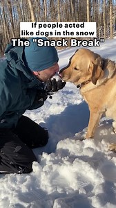 52K views · 674 reactions | If people acted like dogs when there is snow outside.  What other things should we do for "if people acted like dogs..." #dog #dogdad #labrador | Magnus The Therapy Dog | Facebook