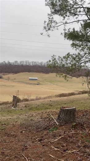 Tractor Accident: A Shocking Incident in the Field