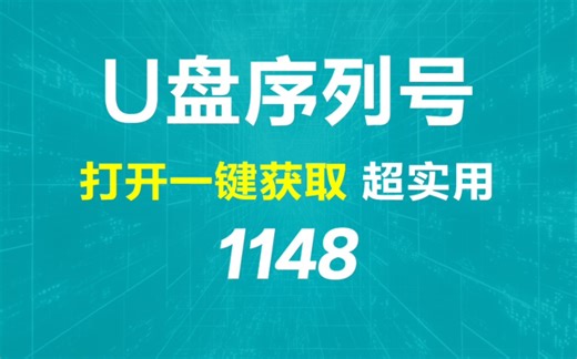 U盘的序列号在哪查？它可一键获取
