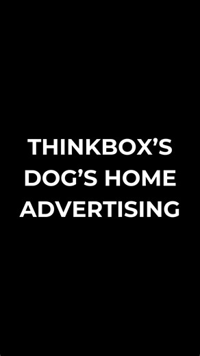 Evolving Marketing & Branding on Instagram: "Thinkbox’s iconic “Dog’s Home” ad isn’t really about adopting a pet it’s about the power of TV advertising. Created by The Red Brick Road, the film shows a rescue dog named Harvey using a television ad he made himself to convince a couple to take him home. While other dogs rely on cuteness, Harvey plays smart: his “ad” shows him mowing lawns, doing laundry, and driving kids to school. It’s funny, absurd and genius. Because the story itself demonstrate