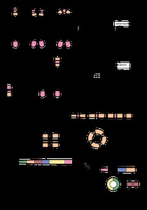 research - the barthel laboratory