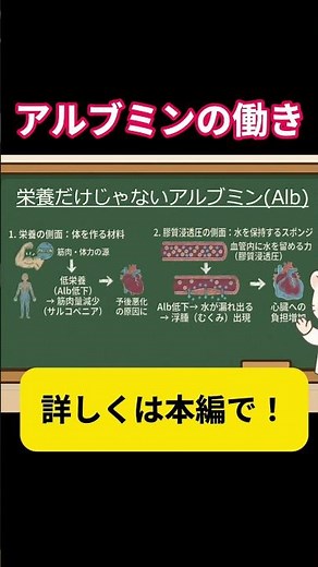 【PT・看護師】なぜ栄養が足りないと体がむくむの？採血データ「アルブミン」の知られざる働き🩸